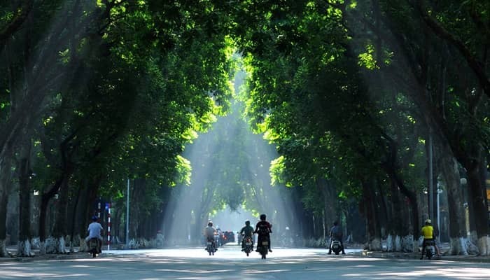 Phan Dinh Phung
